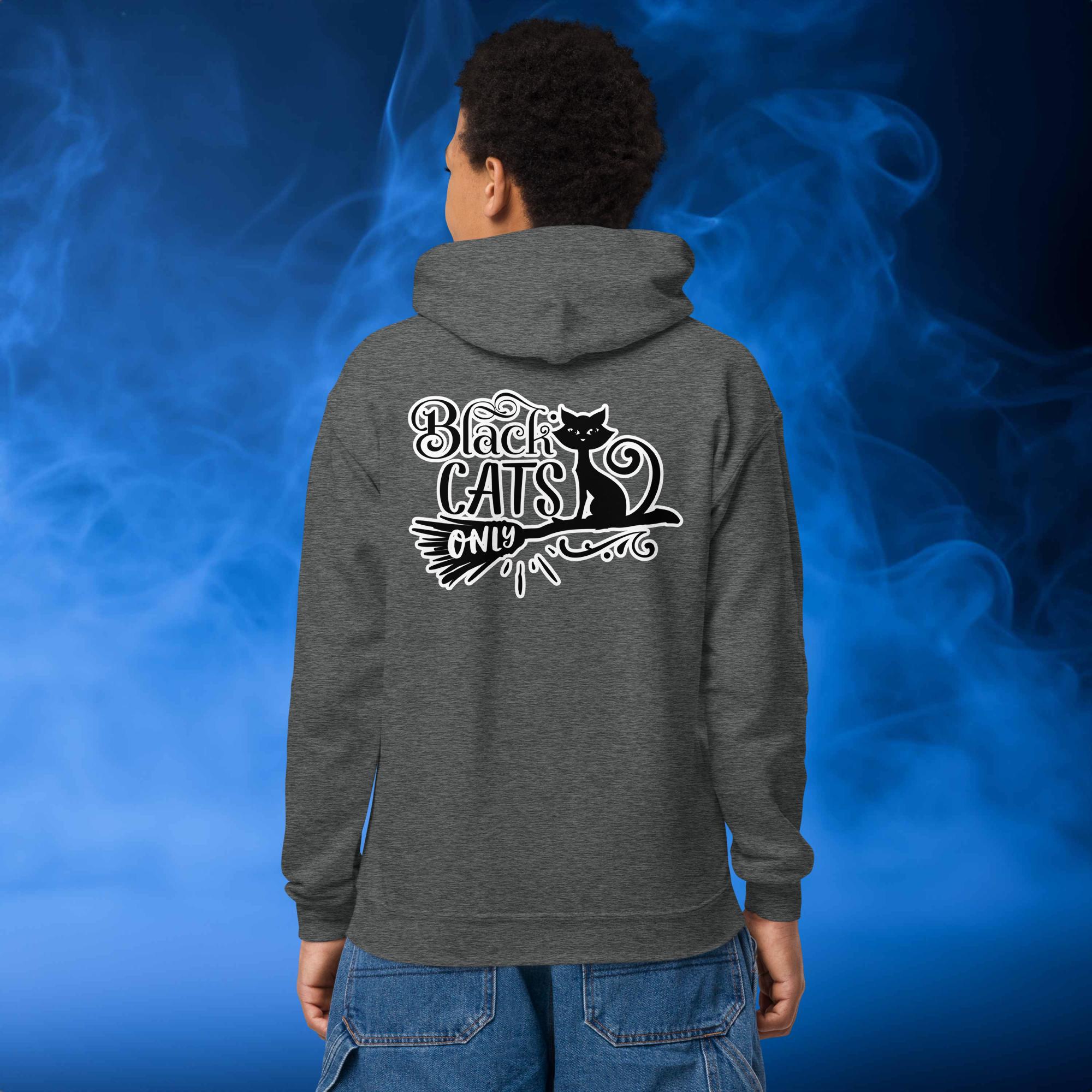 Kitty Loving Ghost Youth heavy blend hoodie
